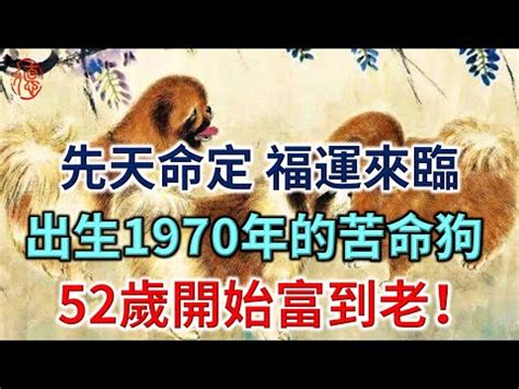 1970狗|1970年是什麼生肖？70年生人命運如何？五行屬釵釧。